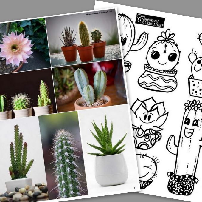 Cactus qu'on s'aime ! Arts plastiques