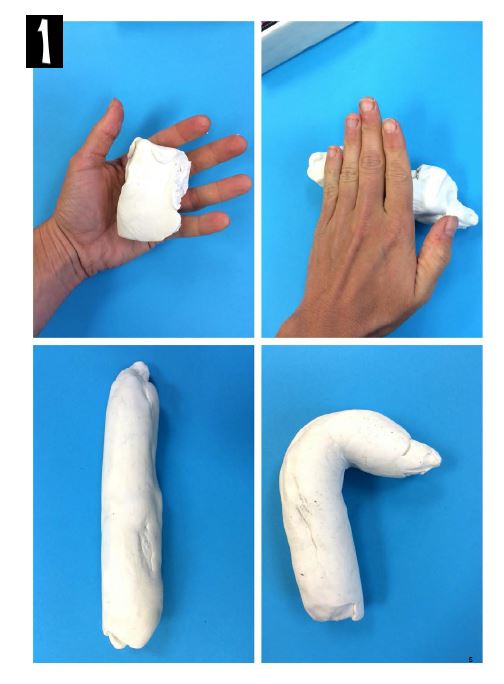 Monstre marin: Modelage - Arts plastiques