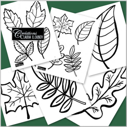 Art aborigène: À point pour l'automne !