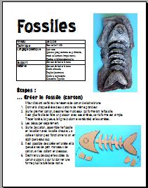 Fossiles 3D- Arts plastiques