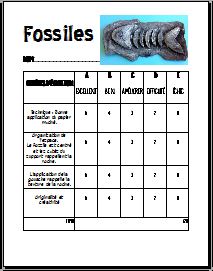 Fossiles 3D- Arts plastiques