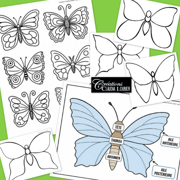 Papillon symétrique - Arts plastiques  - Printemps - Été