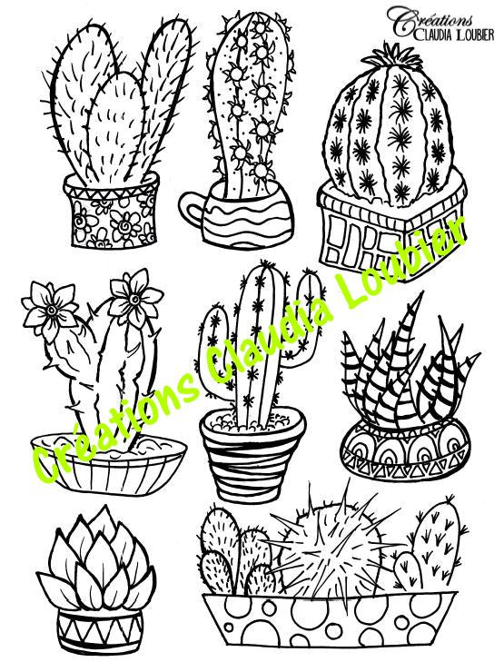 Qui s'y frotte s'y pique - Arts plastiques - Cactus